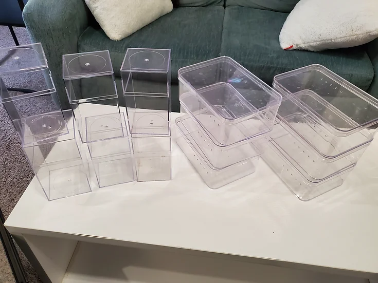 EmeraldScales's tweet photo. Price reductions on the last 3 animals, plus some more supplies listed at a discount! https://t.co/k2fQ78UqYe