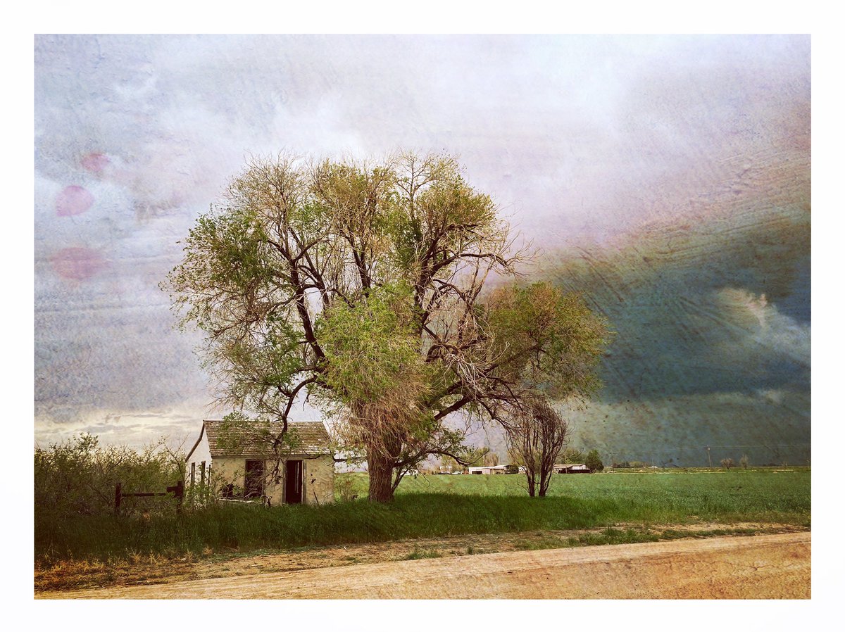 bvonloh's tweet image. From a couple years back…
#snapseed #distressedfx #highplains #northeasterncolorado