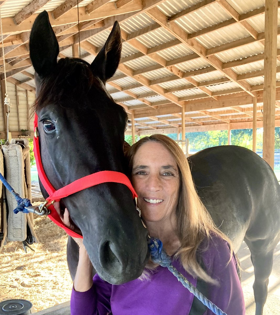 In honor of National Day of the Horse, introducing my herd. The famous Dun Playin Tag (Jake), Dreamin in Hollywood (Enzo), Marking My Whizkey (Bebe). #NationalDayoftheHorse