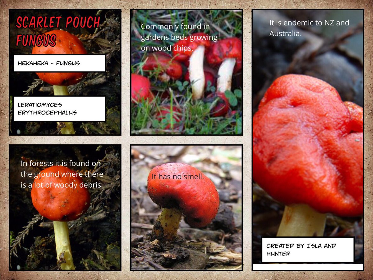 DWithington tweet media