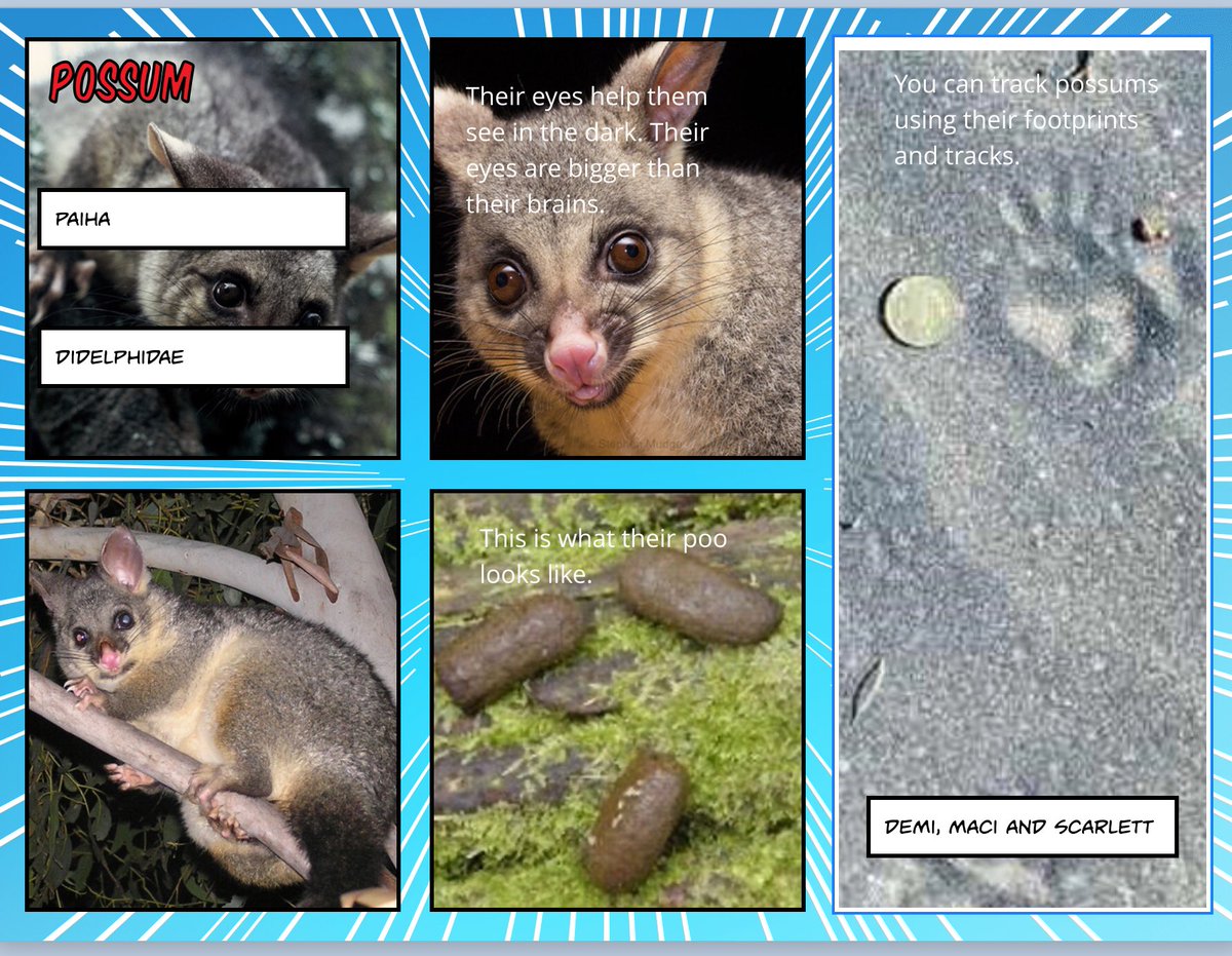 DWithington tweet media