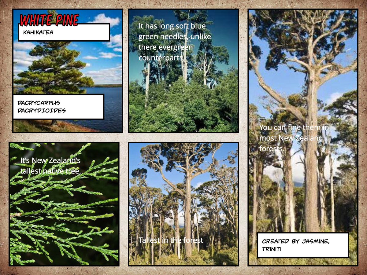 DWithington tweet media