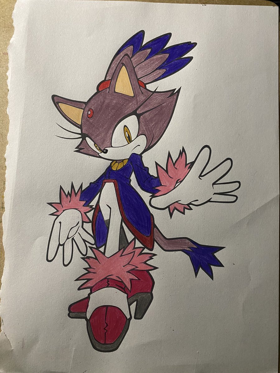 brandondblair's tweet photo. #coloringisrelaxing #coloringismytherapy #blazethecat #SonicTheHedgehog https://t.co/fBmZWulZYR