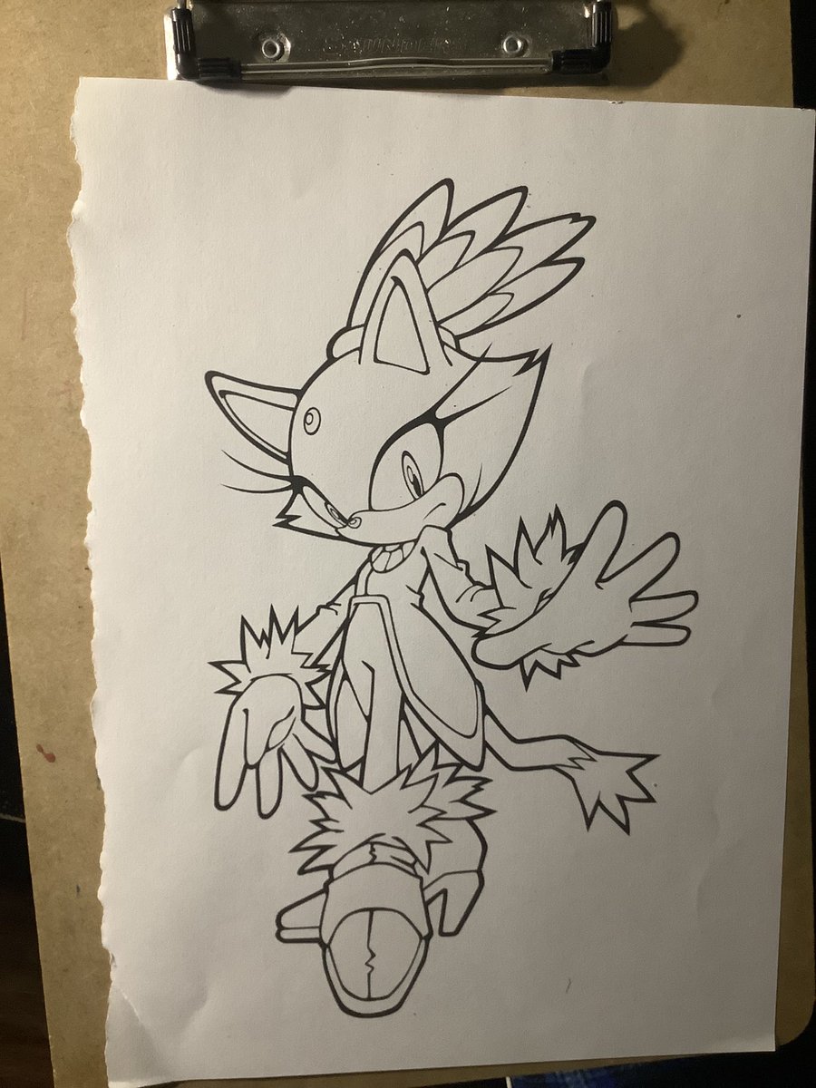 brandondblair's tweet photo. #coloringisrelaxing #coloringismytherapy #blazethecat #SonicTheHedgehog https://t.co/fBmZWulZYR