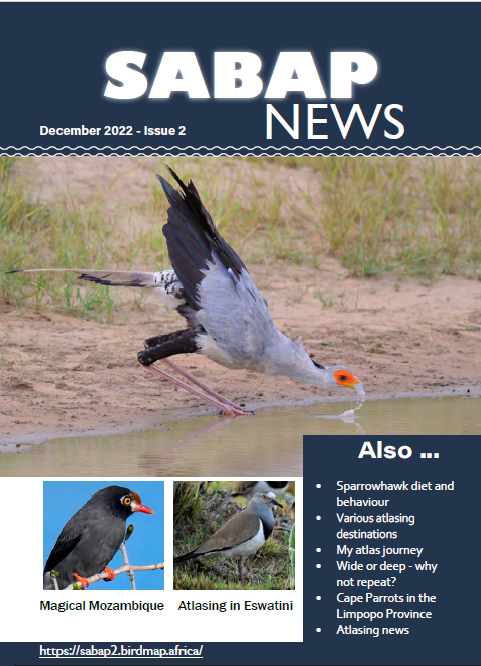SA_birdatlas's tweet photo. Issue 2 of #SABAP News off of the press!
Download your copyhttps://sabap2.birdmap.africa/media/document#pgcontent https://t.co/u2fwcdLy0d