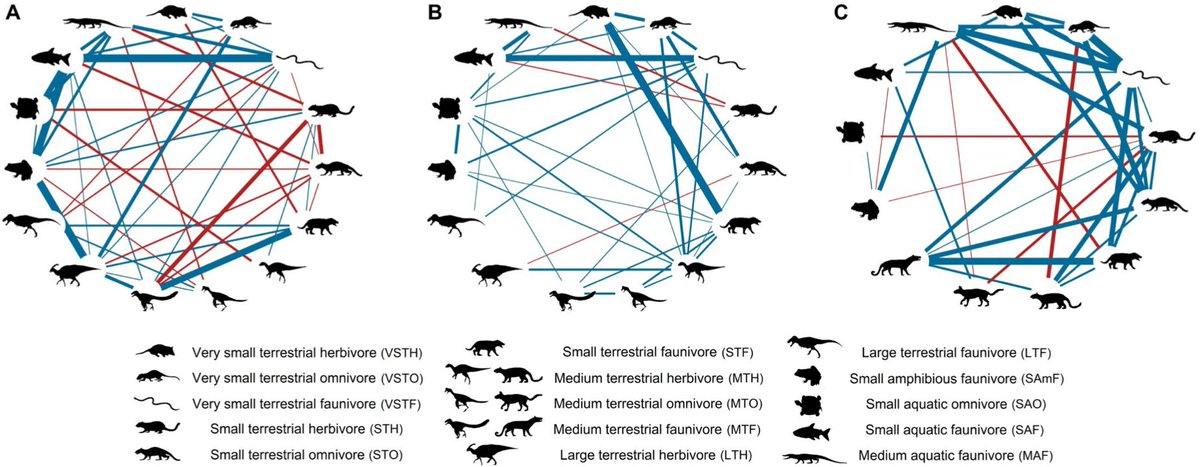 ScienceMagazine's tweet photo. A new study in @ScienceAdvances finds the demise of non-avian dinosaurs may have been influenced by food web shifts that occurred long before the end-Cretaceous extinction event. https://t.co/uQO5KtCP7y https://t.co/Rrhv0TQtaR