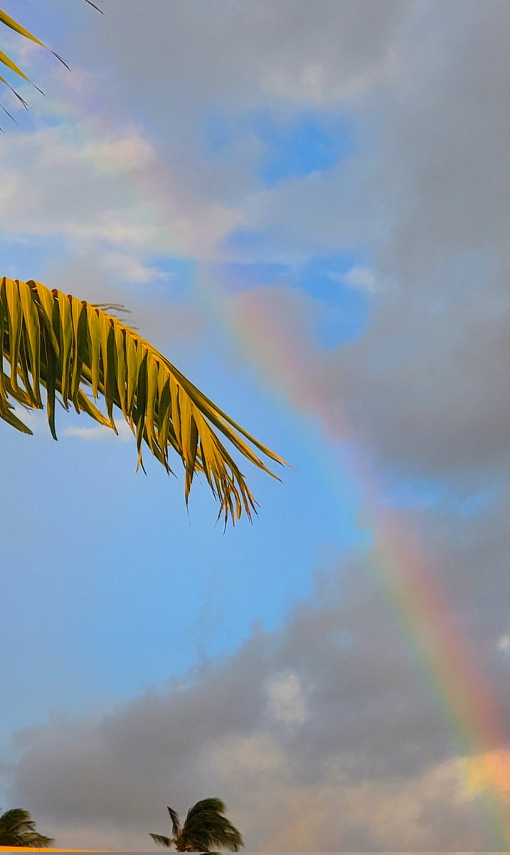 BlessMaui's tweet photo. @FLOTUS A great day for freedom to love! We do so many weddings here in Maui. Here where people can love who they love and marry who they want to Marry. To know that through out America they can feel this joy too, Is a great Blessing for all! To every color of the rainbow. BLESSINGS! https://t.co/zMOU3Jq6WS