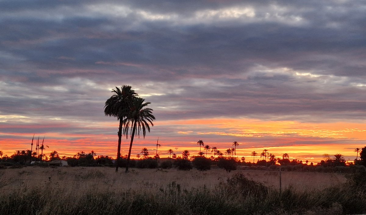 Sumicamp's tweet photo. Bon dia des del Camp d'Elx https://t.co/9UD0yiFmi7