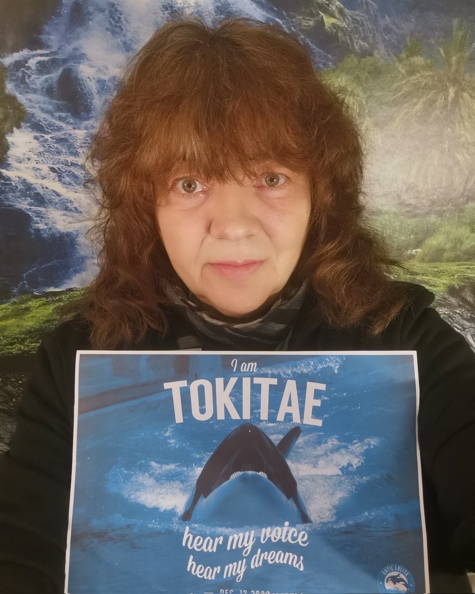 DolphinDani7's tweet photo. #IamTokitae #United4Lolita #UntilLolitaisHome #Sanctuary4Tokitae https://t.co/FCbDFWbOEF