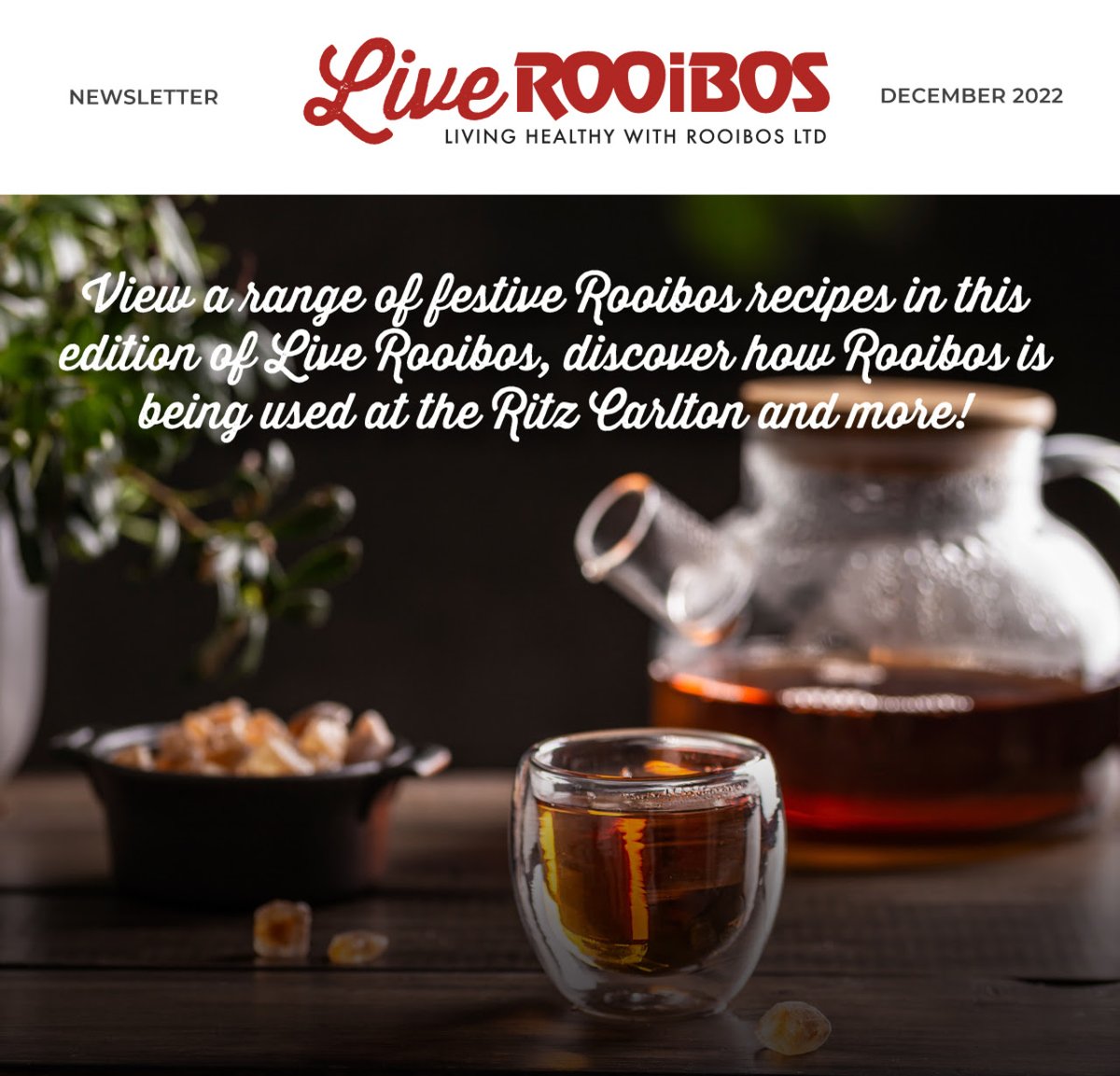 In this newsletter, we get festive with a host of delicious recipes to try these holidays. 
Read about this and more below:

t.e2ma.net/message/icyapf…