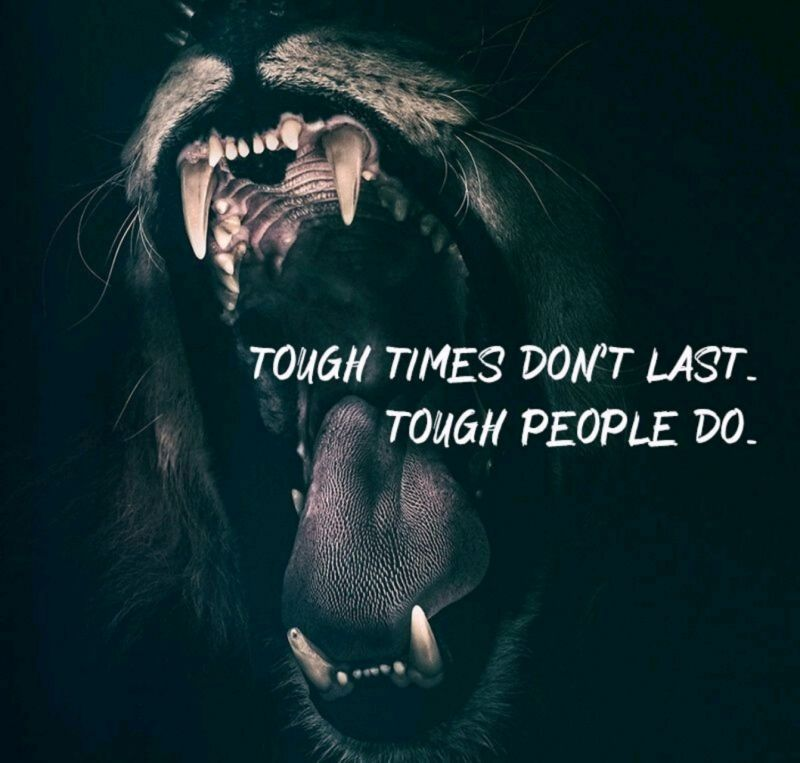 _IAm2022's tweet photo. Yes https://t.co/oz1KTqFnDU