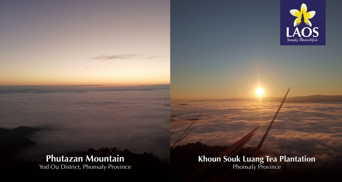Looking for the best places to see the spectacular sea of mist in Laos?
Check out these places below and plan your trip for when you visit Laos.

#laossimplybeautiful #unseenlaos #visitsoutheastasia
#ລາວທ່ຽວລາວ #travel #laos #explorelaos
