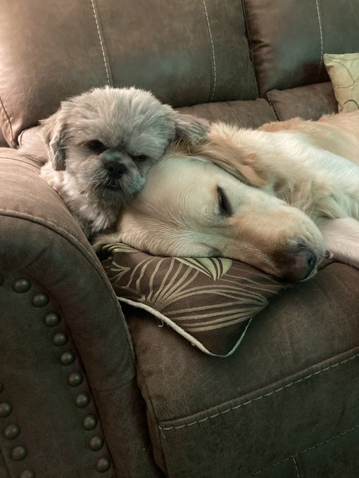 Orange li🍊🍊🍊 tweet media