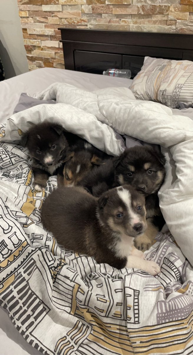 lube. (@ignlube) on Twitter photo 