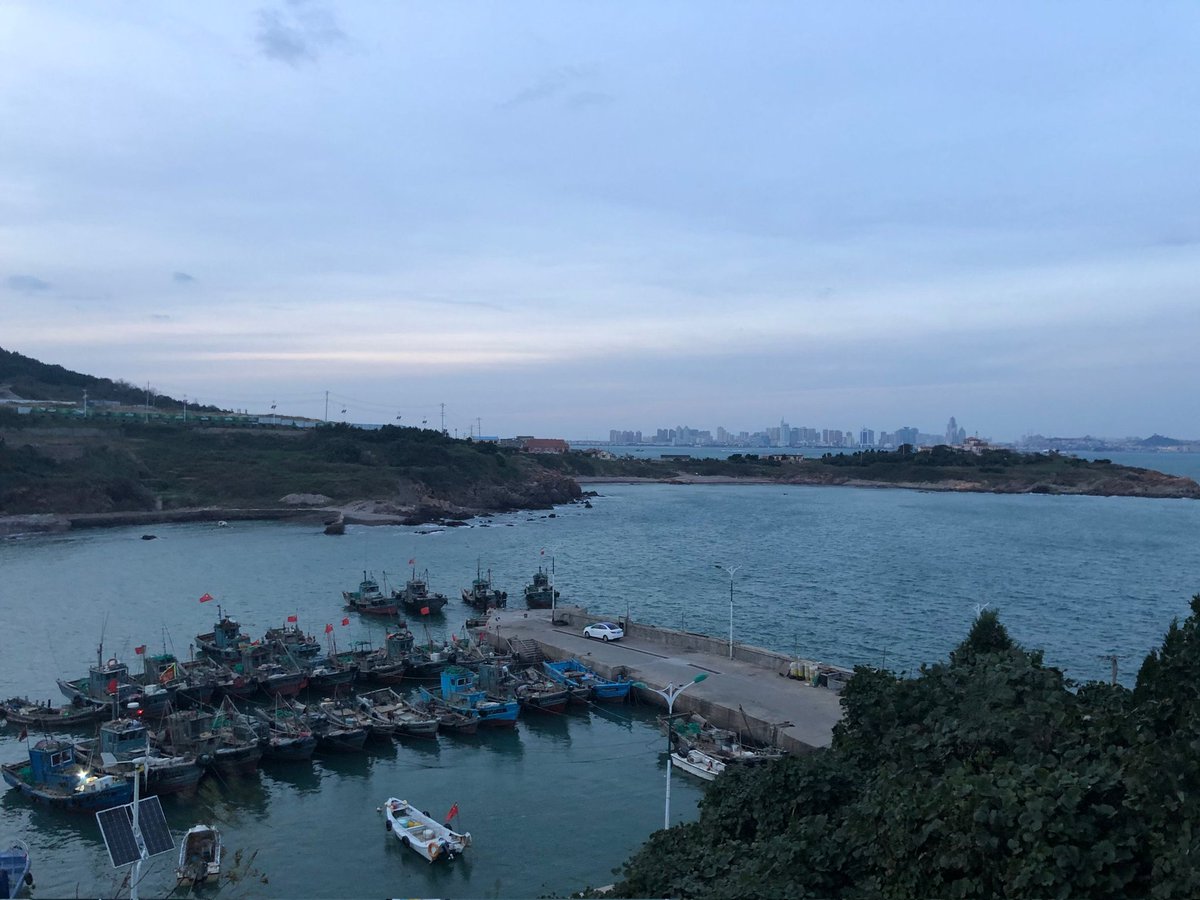 beautiful fish harbour in Qingdao