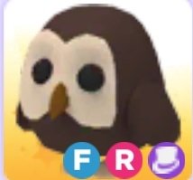 Say51055192's tweet photo. @PlayAdoptMe @Roblox Some offers? Also looking owl for Parrot and good adds https://t.co/lOdou7JZSL