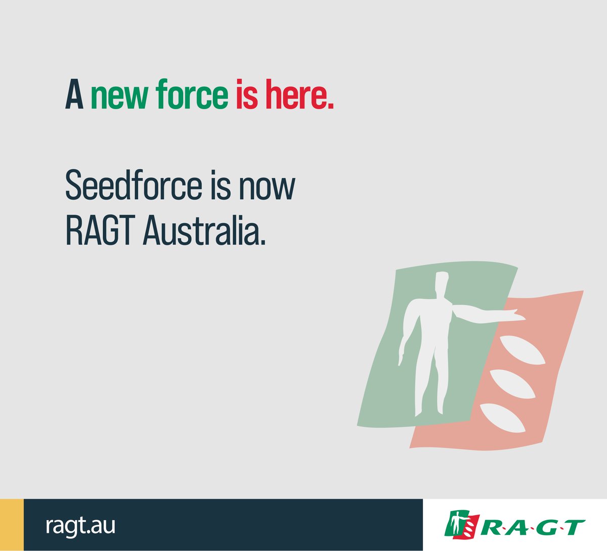 RAGTAU's tweet photo. We’re x-cited to advise that from today, Seed Force Australia has re-branded to RAGT Australia. This name change honours the acquisition of Seed Force by RAGT Semences in late 2020. Continue with us as we proudly work to bring the power of global investment downunder. https://t.co/XJFgL8iFnl
