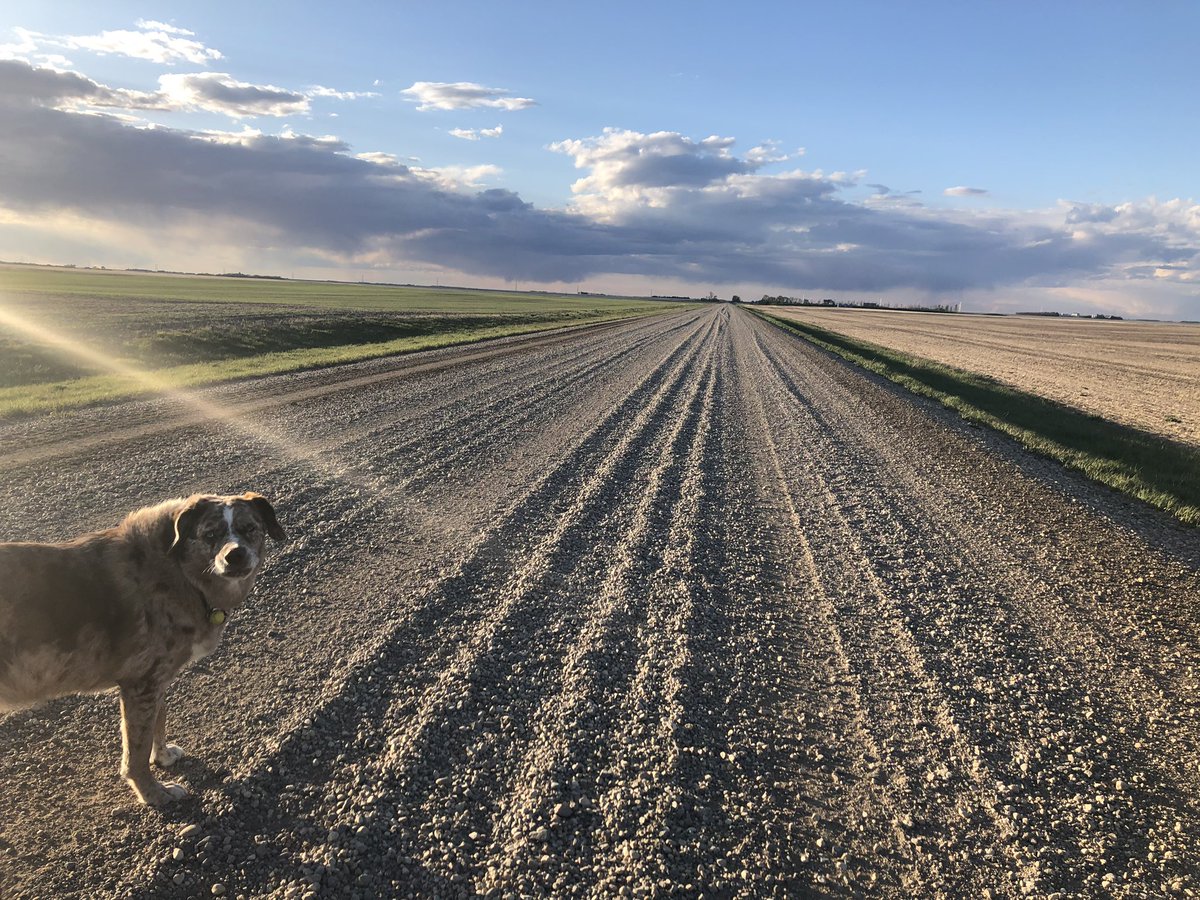 Jessy Lee Saas tweet media