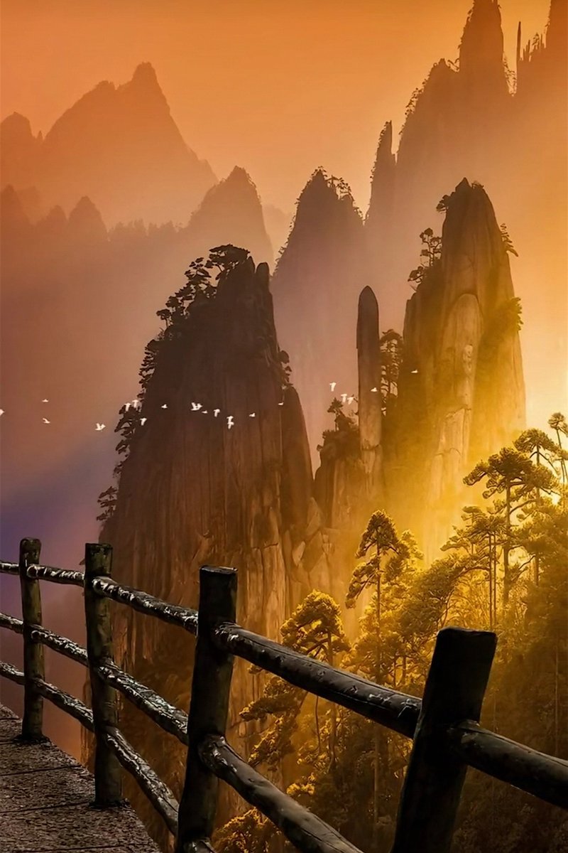 Natureblossm (@natureblossm) on Twitter photo 