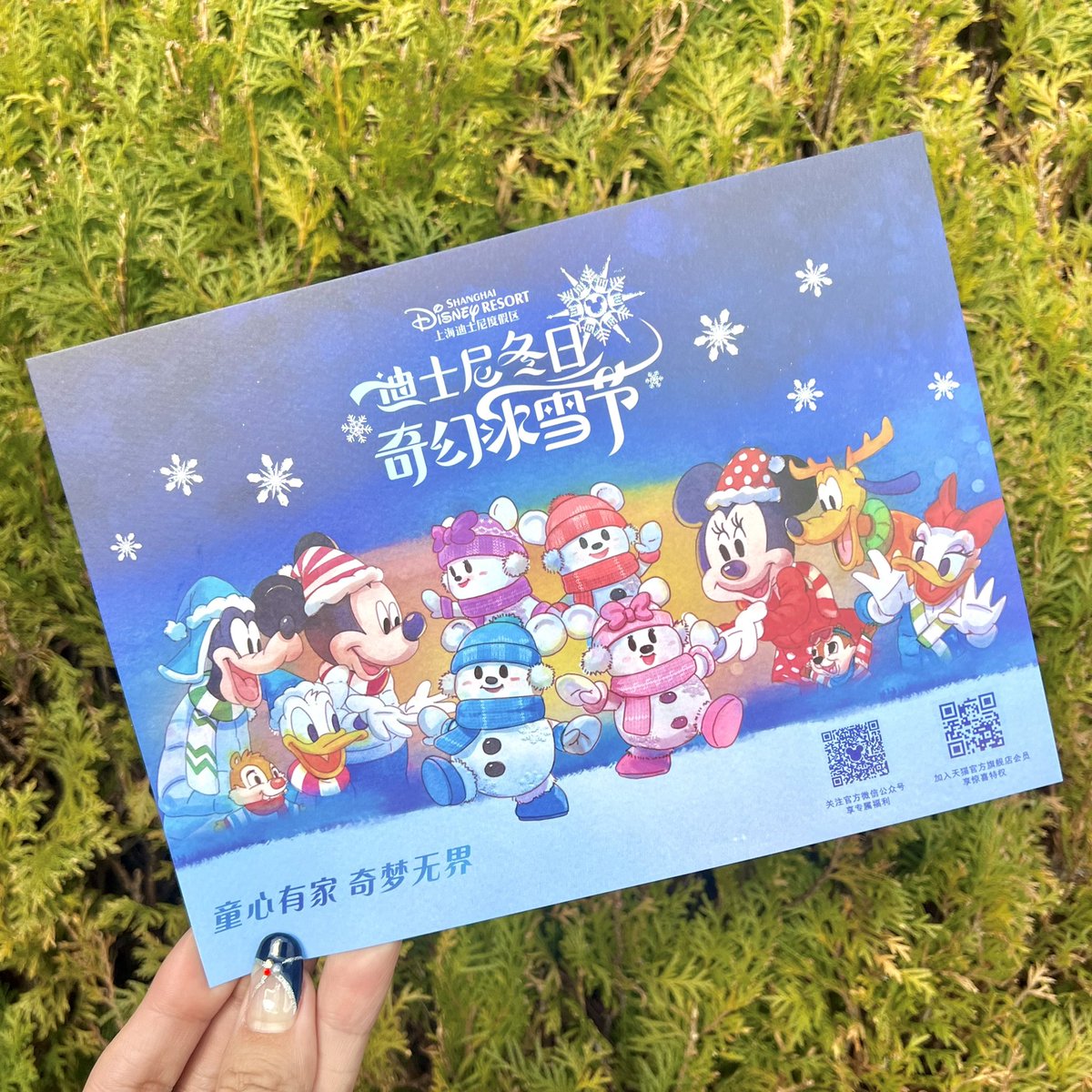 上海ディズニー ダフメイジェラ ミステリーピン コンプリートセット Inevo Co Il
