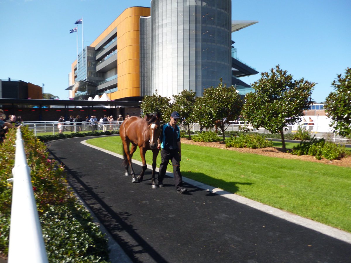 catswoodlife's tweet image. @DarleyAus #MrWallace ….loved his Mum #Streama 😍😍