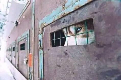 فكرة مراقبتنا لن تشفى فضولكم لدينا تفاصيل مقدسة لاتناح مطلقا