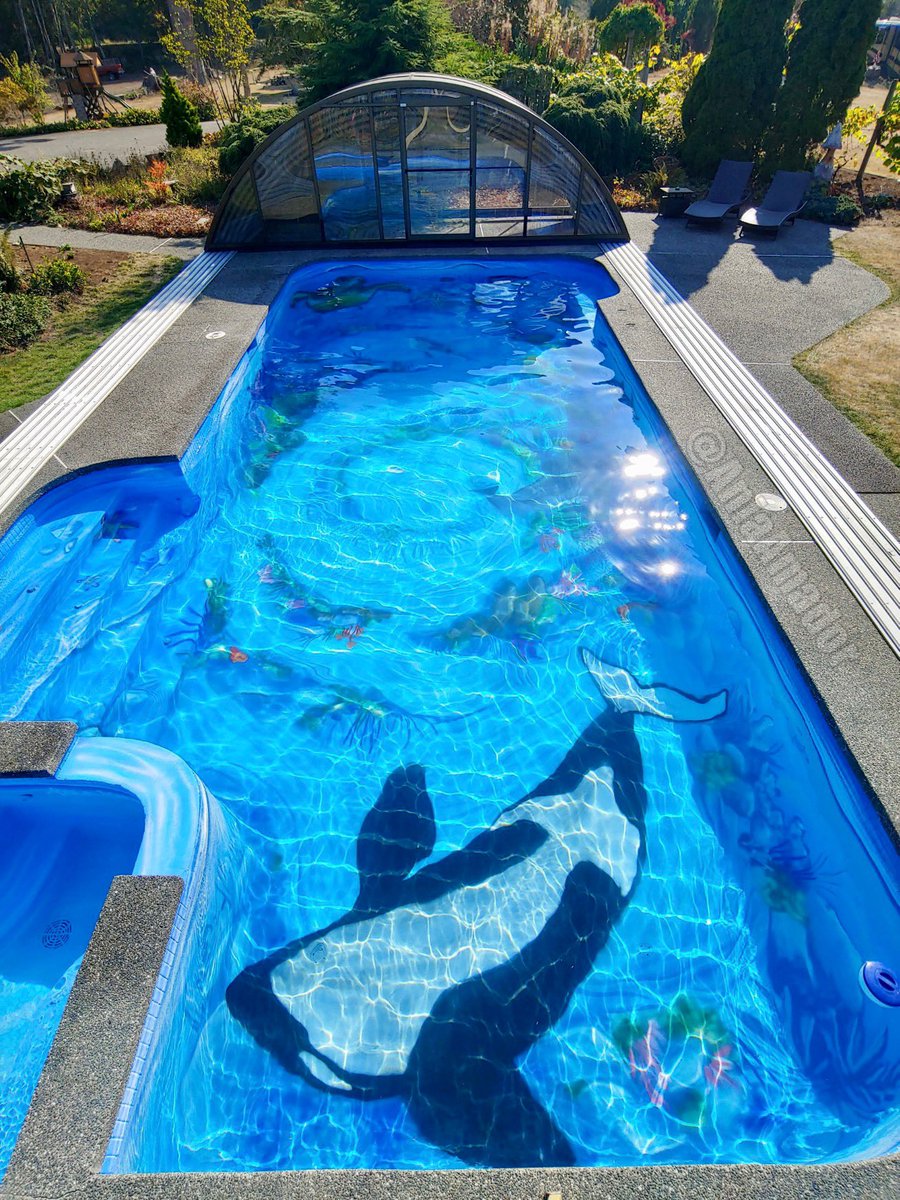 ANIAwall's tweet photo. Final pics of my #oceanpoolmural #poolmural #oceanart #poolart https://t.co/AFhTjaLeG8