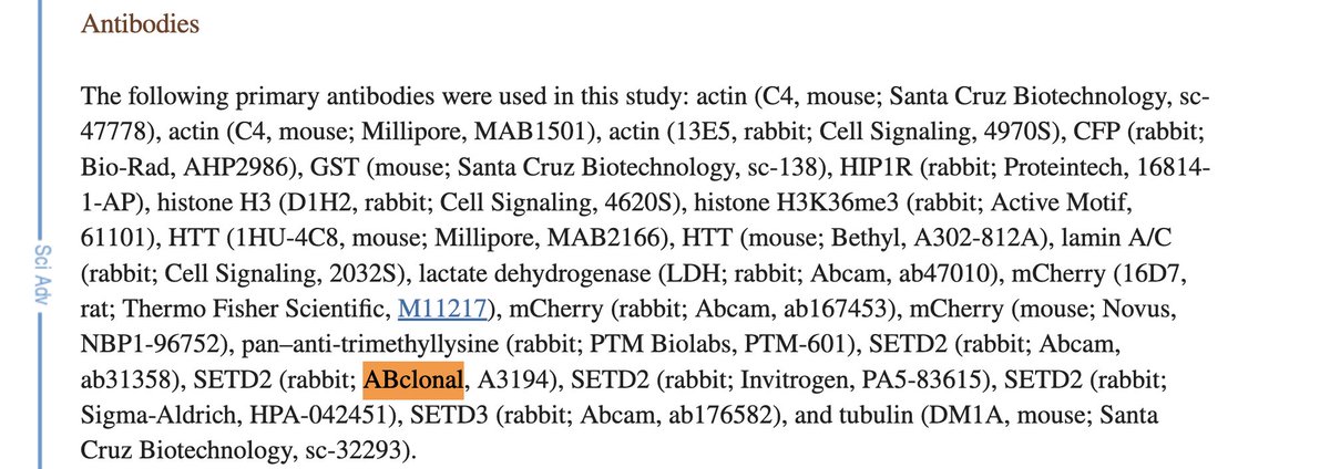 GavinZhang360's tweet photo. Just found a paper by senior author @RSeervai that cited @ABclonal_USA 's #SETD2 antibody
https://t.co/6bZyaYky4K https://t.co/IEy8pQrcqM