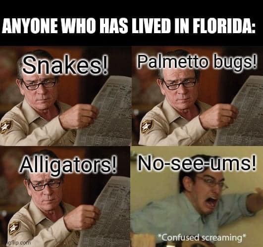 Haha this is true. 

#Florida #floridalife