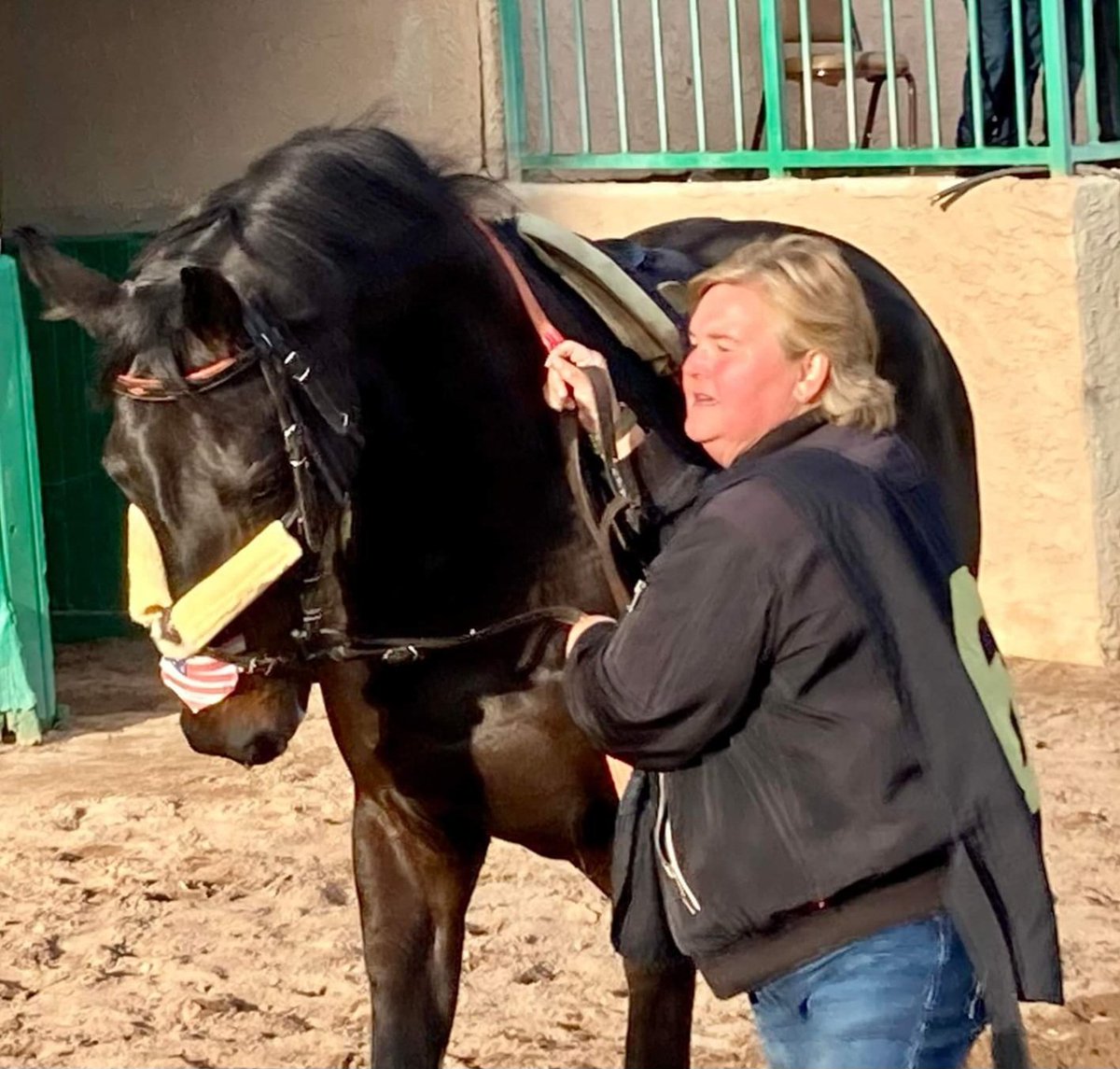 CcPerkinson's tweet image. #GuestCheck a beautiful closing 2nd going 7.5 on the grass at @turf_paradise @MNhorseracing ❤️#perkinsonracingstables