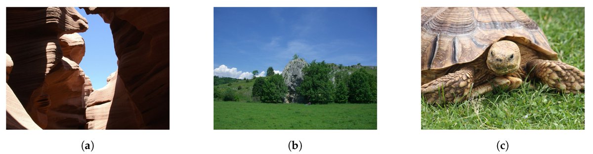 Sensors_MDPI's tweet image. #highlycitedpaper
No Reference, Opinion Unaware Image Quality Assessment by Anomaly Detection
mdpi.com/1424-8220/21/3…
#imagequalityassessment #convolutionalneuralnetwork
