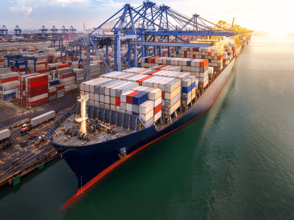 🏗️ Seaports have been important #logistics facilities for a long time.
📌 #EasyHaul invites you to reveal some captivating facts you might not know about maritime ports. 🚢 Follow this link to learn more on our blog 👉: cutt.ly/A0k80wT