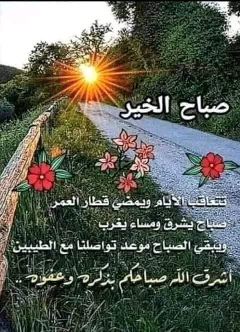 Haedar (@haedar12316601) on Twitter photo 