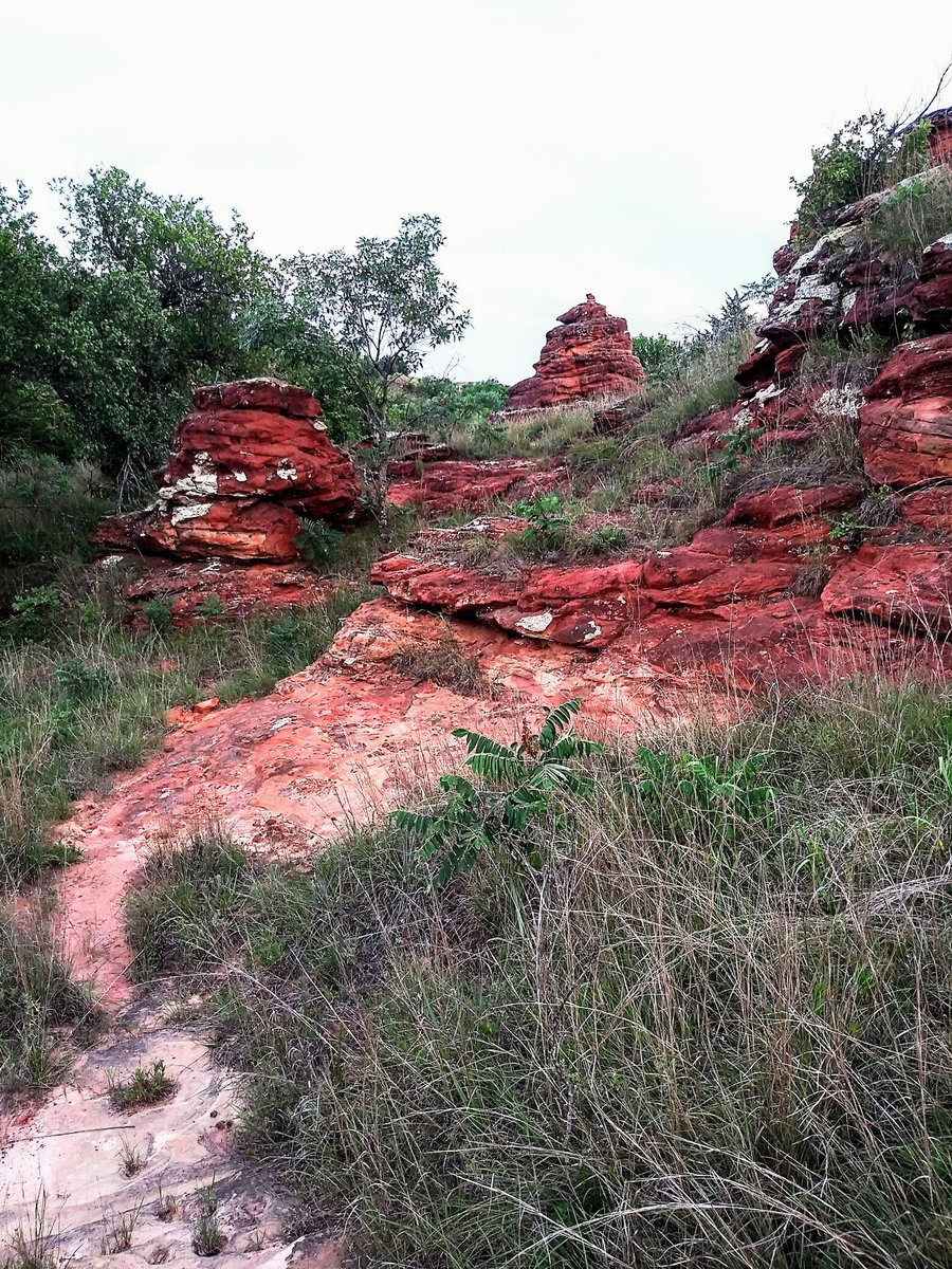 EverydayParks's tweet photo. Alum Creek Trail and Prairie Trail
Ellsworth County, Kansas
4.8/5 stars (6 ratings)
#EllsworthCounty #Kansas #parks #nature #outdoors #travel #landscape https://t.co/MB8pfIgPMW