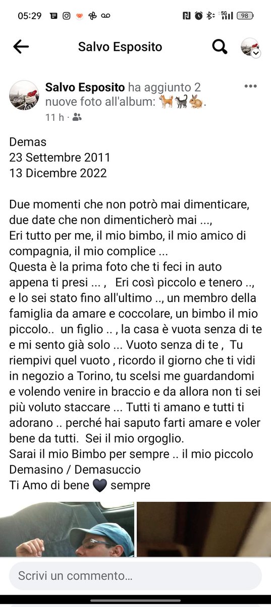 salvo872012's tweet photo. Demas 
23 Settembre 2011
13 Dicembre 2022
2 momenti che nn potrò mai dimenticare, due date che nn dimenticherò mai
Eri tutto per me, il mio bimbo, il mio amico di compagnia, il mio complice
Sarai il mio Bimbo per sempre il mio piccolo Demasino Demasuccio 
Ti Amo di bene 🖤 sempre https://t.co/l0WUKGOuf2