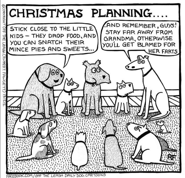 beviesplace's tweet image. Wiser Ones are always happy to train up and share their knowledge with the next generation.

Credit: @RupertFawcett
offtheleashdogcartoons.com

#christmasofferingfortoday
#wisedogs 
#StayAwayFromGrandpaToo