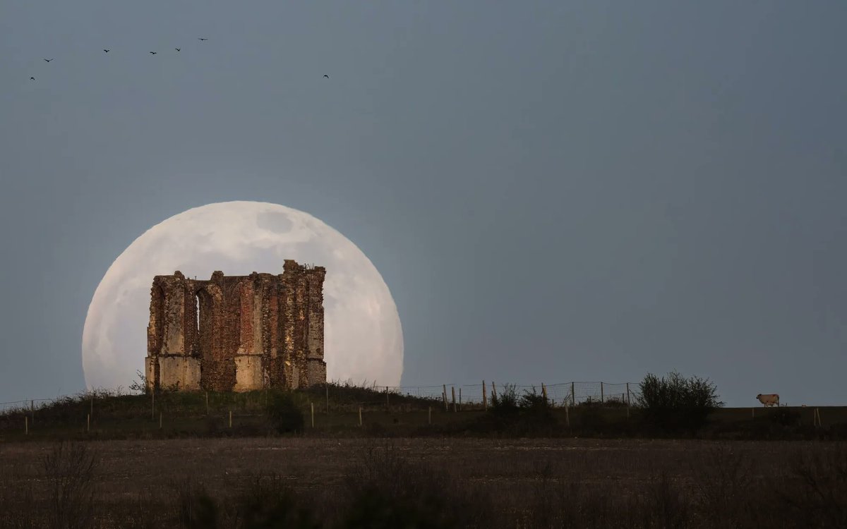 sdnpa's tweet image. Our Dark Skies Festival is returning in February.
⠀⠀⠀
With 10 Dark Skies Discovery Sites throughout the National Park, why not enter our astrophotography competition?

Find out more &amp;gt;&amp;gt; buff.ly/3zRWe3C 

📷 Richard Murray⠀⠀
📍 Vandalian Tower near South Harting