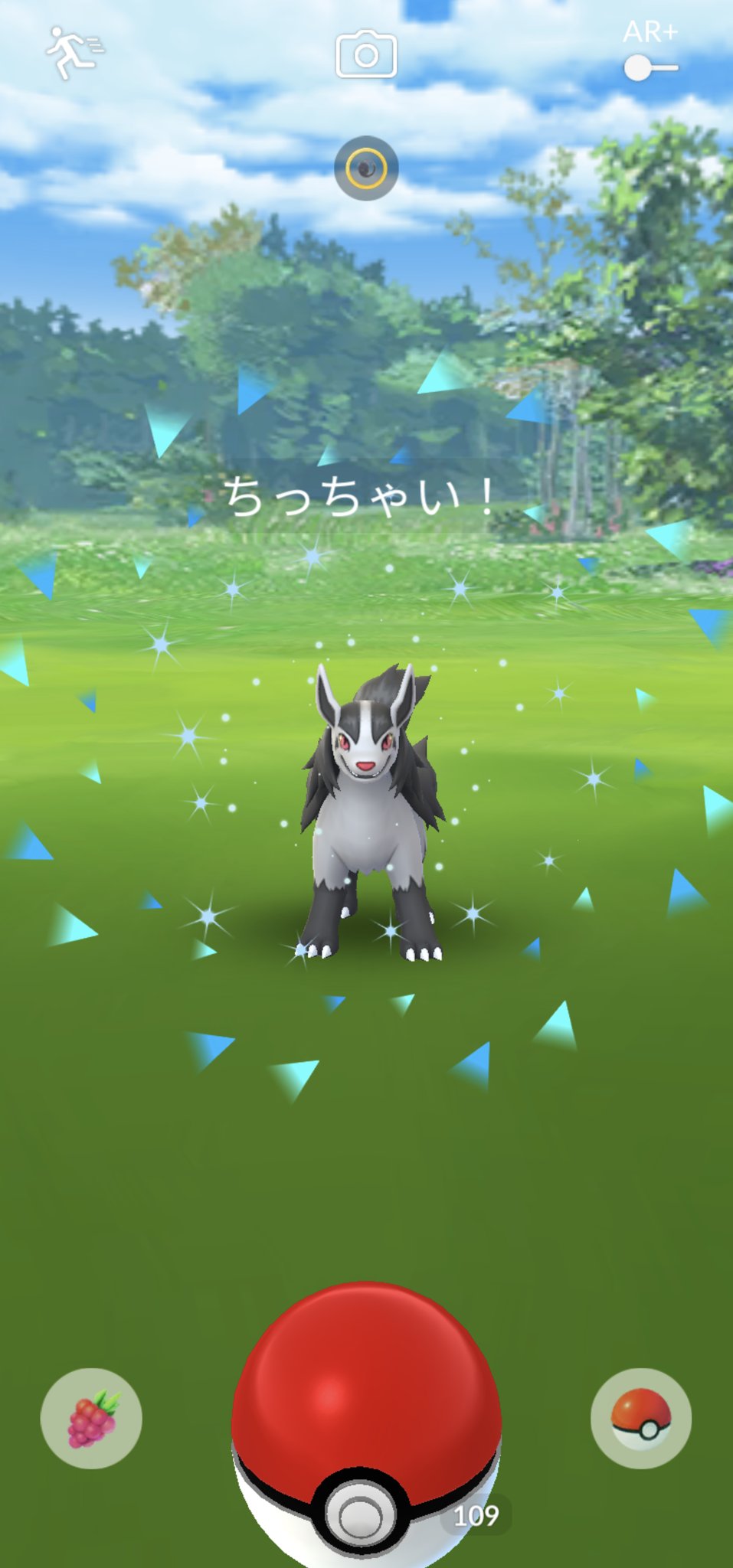 まろっこ ポケモンgo Amskgo Twitter