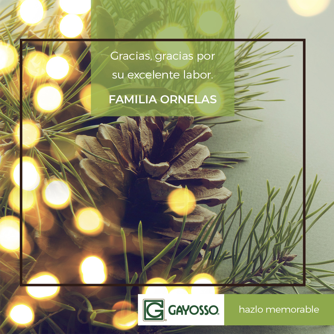 Para nosotros, cada agradecimiento significa una misión cumplida, cada despedida es una prioridad.

#HazloMemorable