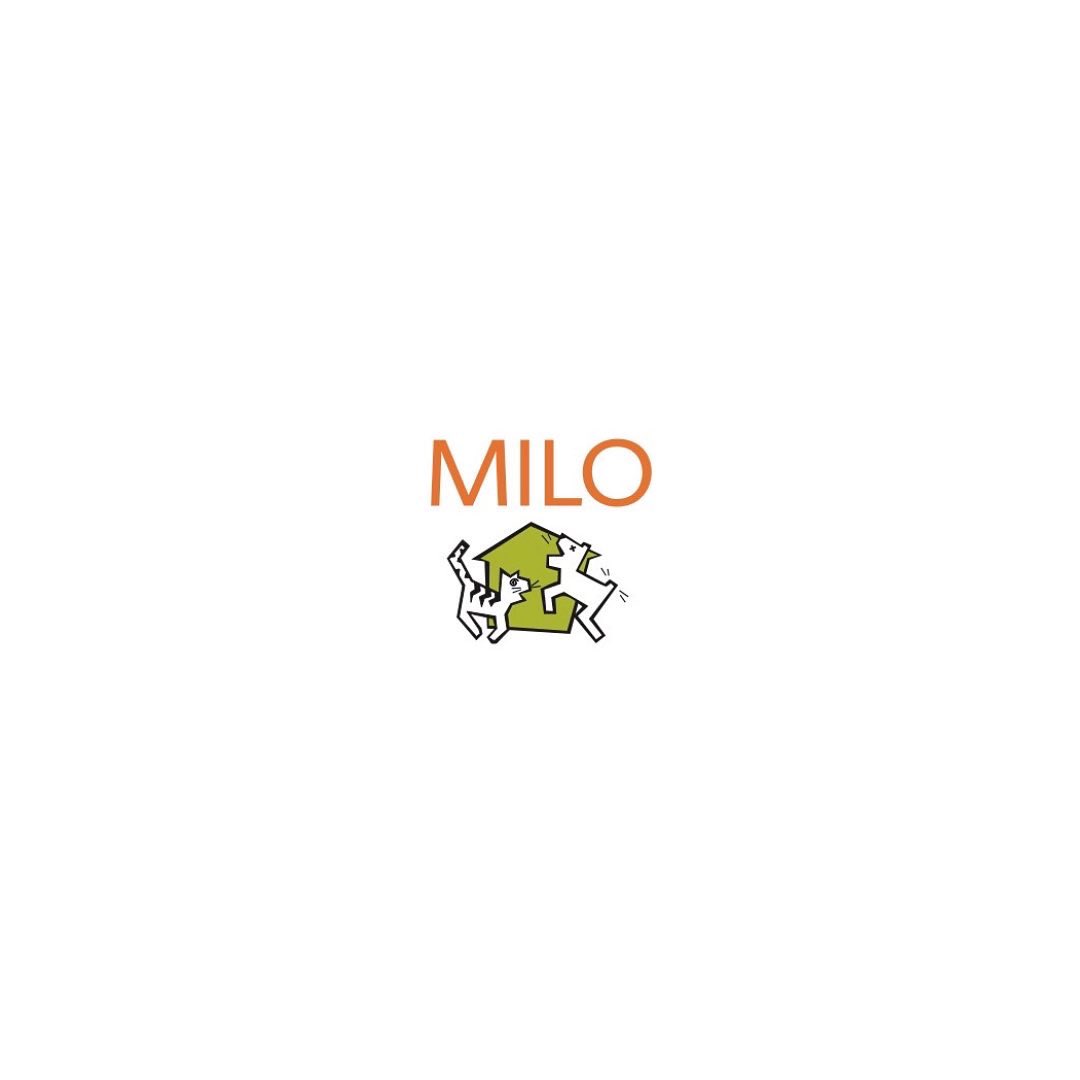 AreaJustice's tweet photo. Check out our post about The Milo Foundation! https://t.co/V4fazbPR6Y #bayarea #sfbayarea #Nonprofit #SocialJustice #BASJS https://t.co/QXT6jyFK8e