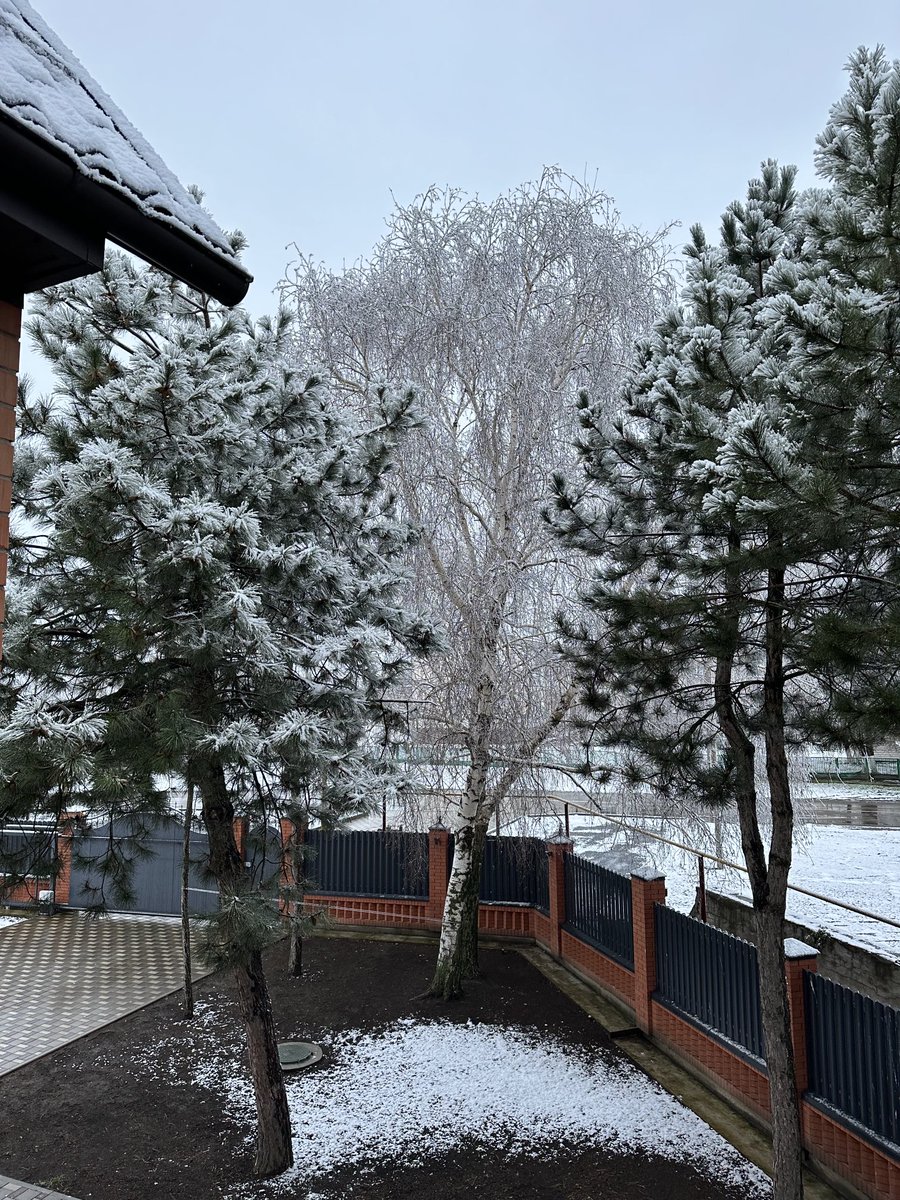 У нас снежок!А у вас?