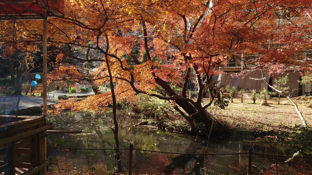 西区に用事があったので立ち寄って食事してきました！紹介して頂きありがとうございました😊
#お手水の森