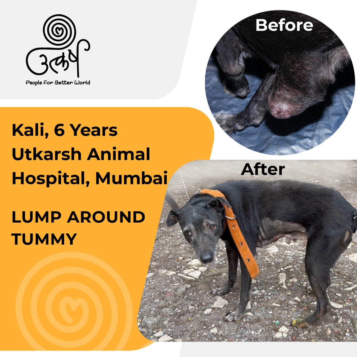 Utkarsh-Animal Welfare (@AnimalUtkarsh) / Twitter Utkarsh-Animal Welfare (@AnimalUtkarsh) / Twitter