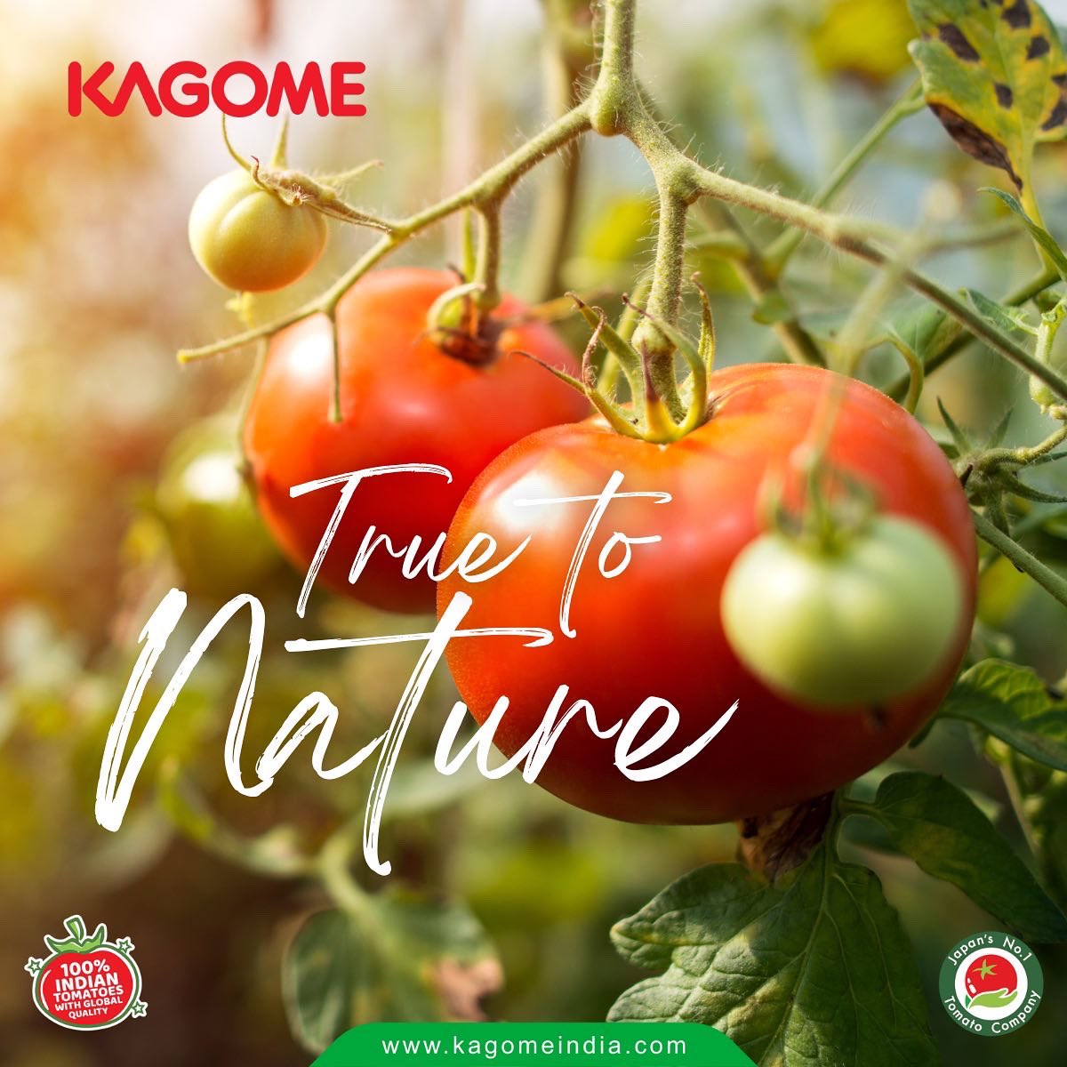 Indiakagome's tweet photo. Savour the flavours of kagome! 
#flavours #horeca #tomatoes #freshtomatoes #chefs #kagomeindia https://t.co/QfcpzD9UkQ