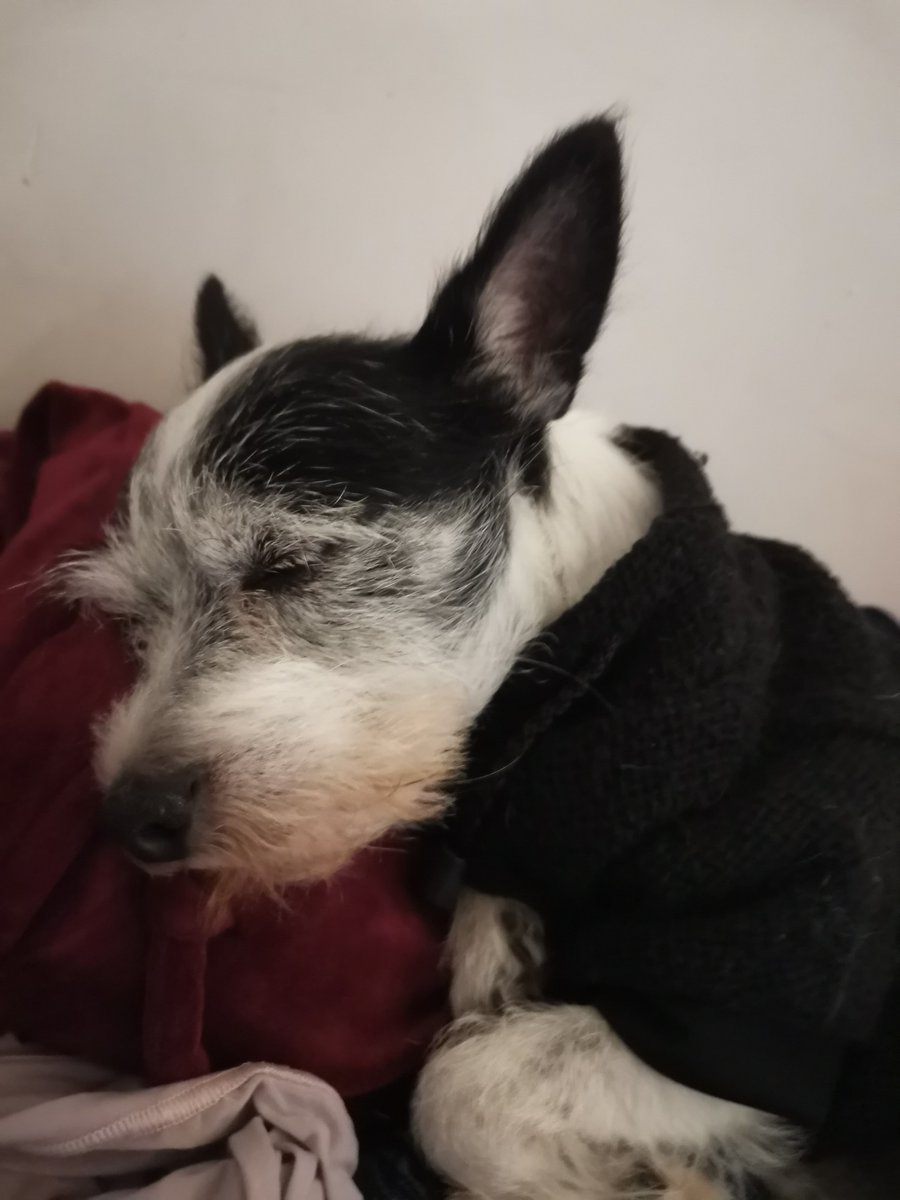 Leo (@_leovfx) on Twitter photo 