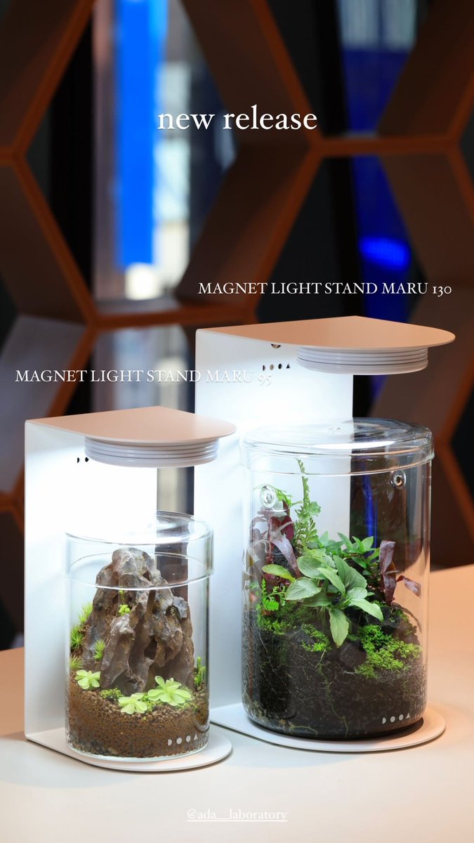 PALUDA LIGHT 30 ガラスポッドMARU用展示スタンドセット（株式