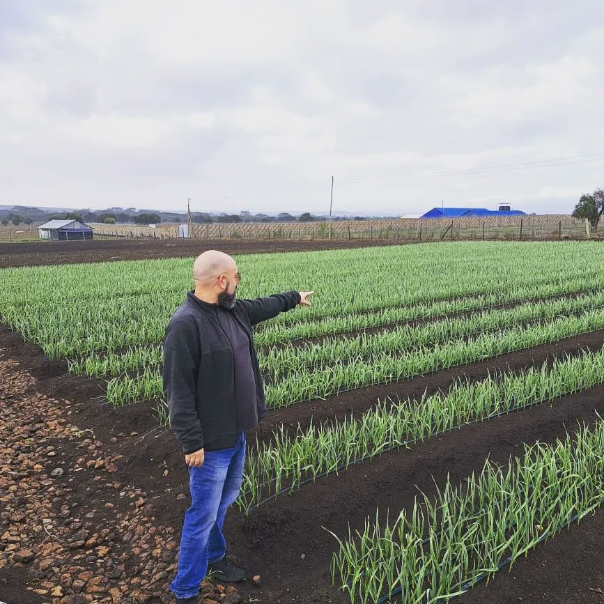 GiladMillo's tweet photo. Kazi inaanza mapema asubuhi shambani 🌱🧄 #OleRaha #garlicfarming https://t.co/SB8XZIbJYv