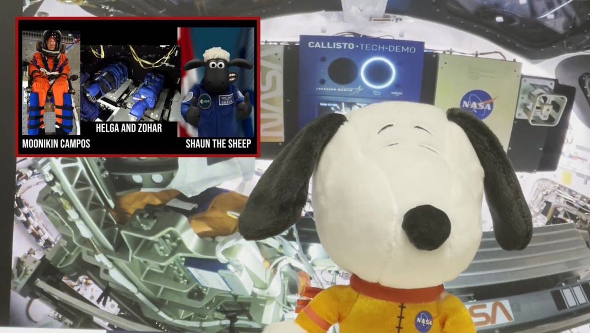 This week’s NightSky Newscast features our Sr. Ambassador of Astronomy &amp; Science Reporter, Shainna Alipon discussing the Geminids, viewing tips &amp; the special event behind held by LVAS

Also Astronaut Snoopy gives an Artemis Mission Update from inside Orion
youtu.be/S4Vnwyq8K90