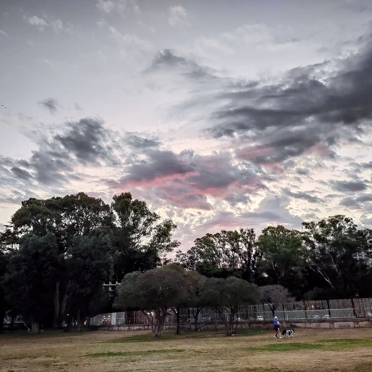 Maravilloso cielo rosarino 💕 colores increíbles... encuentros increíbles...

#rosario #rosariosantafe #rosário #rosarioargentina #rosario3 #rosariocity #rosariociudad #rosariolaciudad #rosariocentro #monumentoalabandera