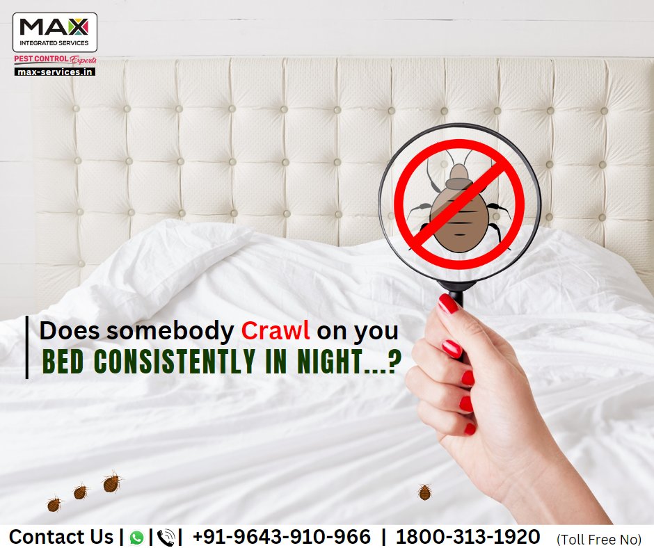 IntegratedMax's tweet photo. Don't Let the Bebugs Bite.
Book Your Service Now
Visit our Website:
https://t.co/ElCjLRTmJc
+91-9643-910-966
+1800-313-1920
#maxintegrated #pestcontrol #bedbugs #bedbugstreatment #insectscontrol #pest #termiteservice #pestmanagement #pestexpert #ecofriendlypest #rodents https://t.co/4KLo0OQDsy